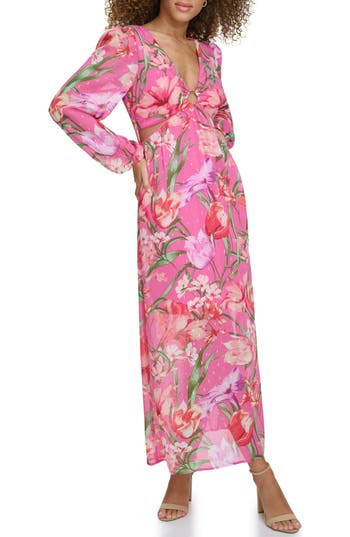 Siena Floral Long Sleeve Clip Dot Maxi Dress In Pink Multi