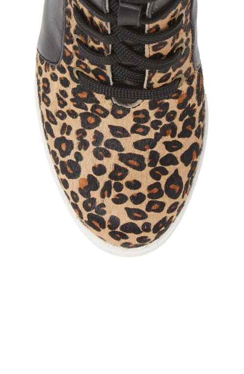 Linea Paolo Fleur Wedge Sneaker In Black Leather/calf Hair