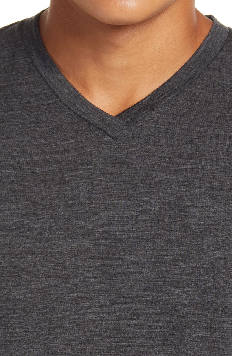 Icebreaker Ravyn V-Neck Wool Blend T-Shirt, Alternate, color, 
