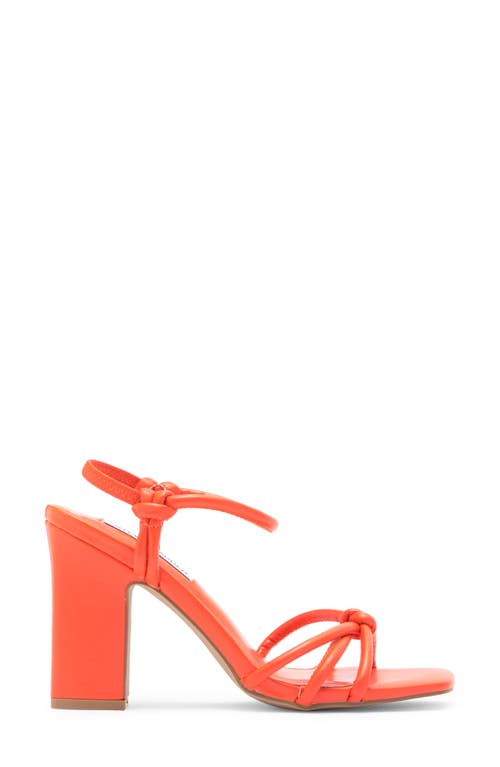 Steve Madden Tokio Knot Sandal