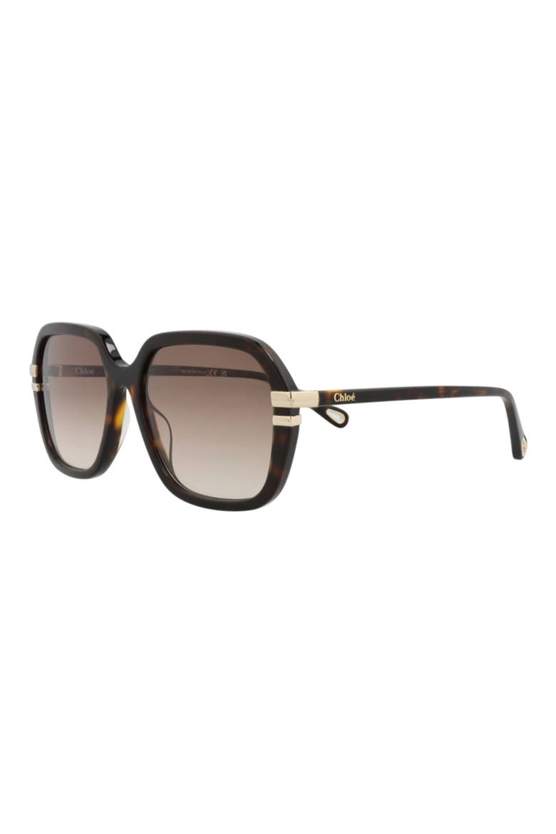 57mm Oversize Sunglasses, Alternate, color, HAVANA/ HAVANA BROWN