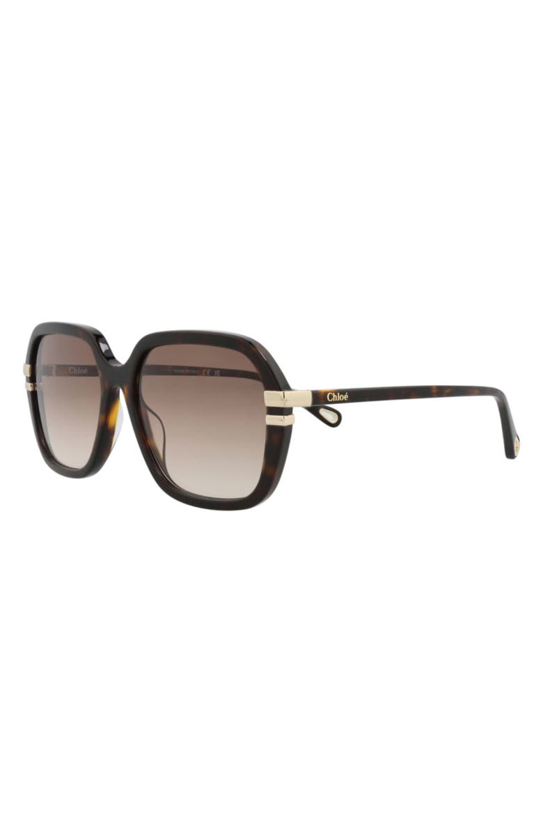Chloé 57mm Oversize Sunglasses, Alternate, color, Havana/ Havana Brown