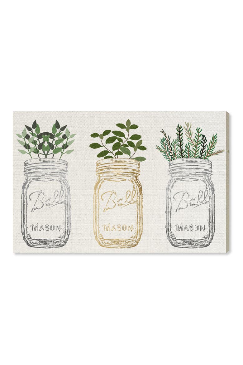 Mason Jars & Plants Canvas Wall Art, Main, color, WHITE