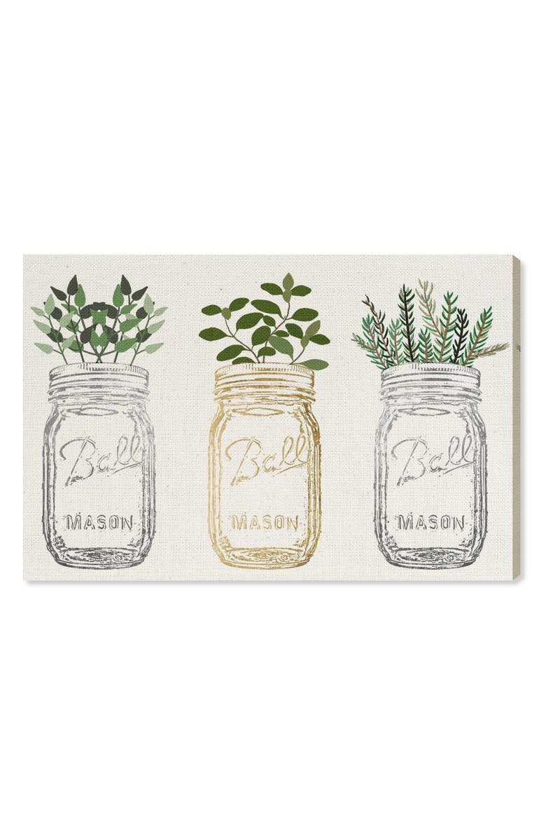 Oliver Gal Mason Jars & Plants Canvas Wall Art, Main, color,