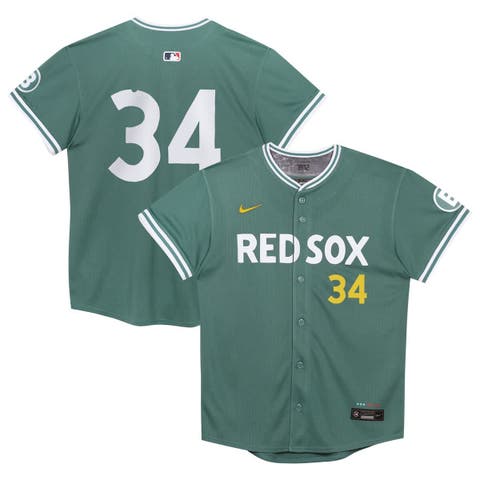 Preschool Nike David Ortiz Green Boston Red Sox 2025 City Connect Limited Retired Player Jersey