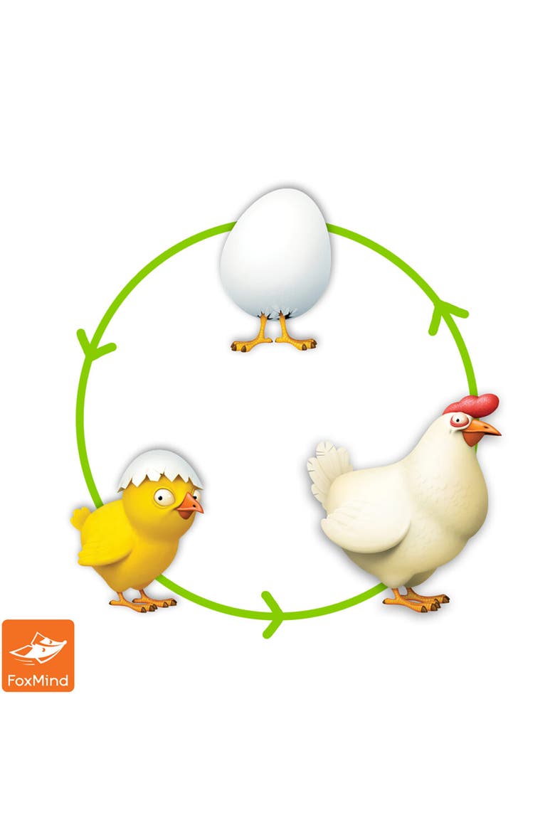 Chickadoo Card Game, Eggciting Family Game Night,Ages 5+, Alternate, color, Multicolored