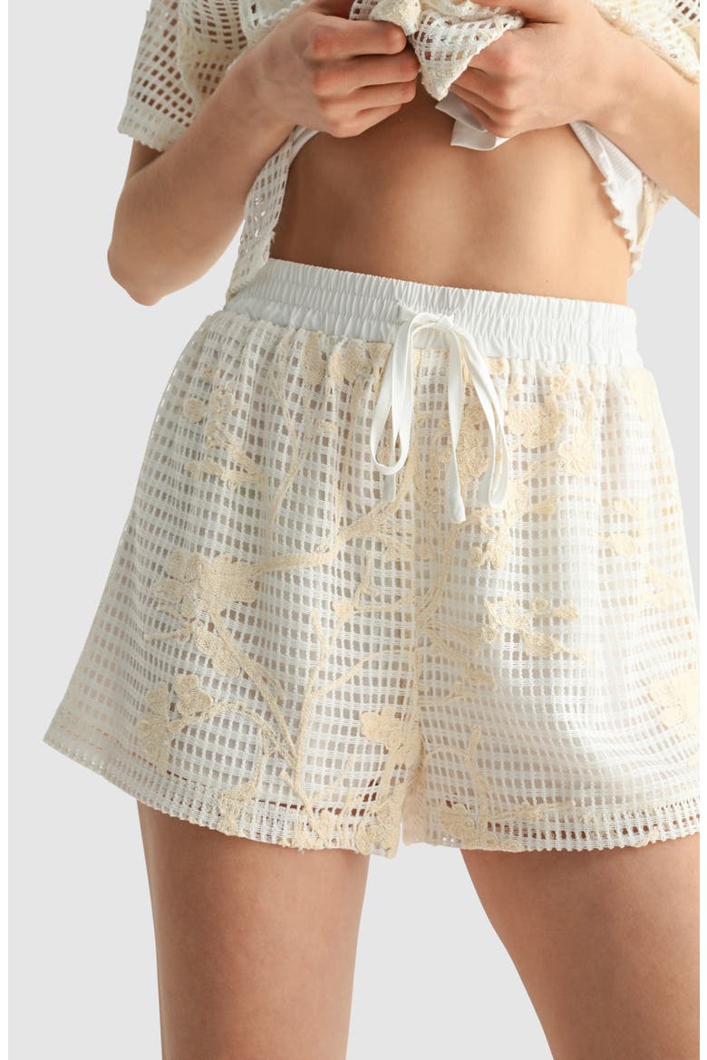 Floral Embroidered Mesh Shorts, Alternate, color, CREAM CROCHET