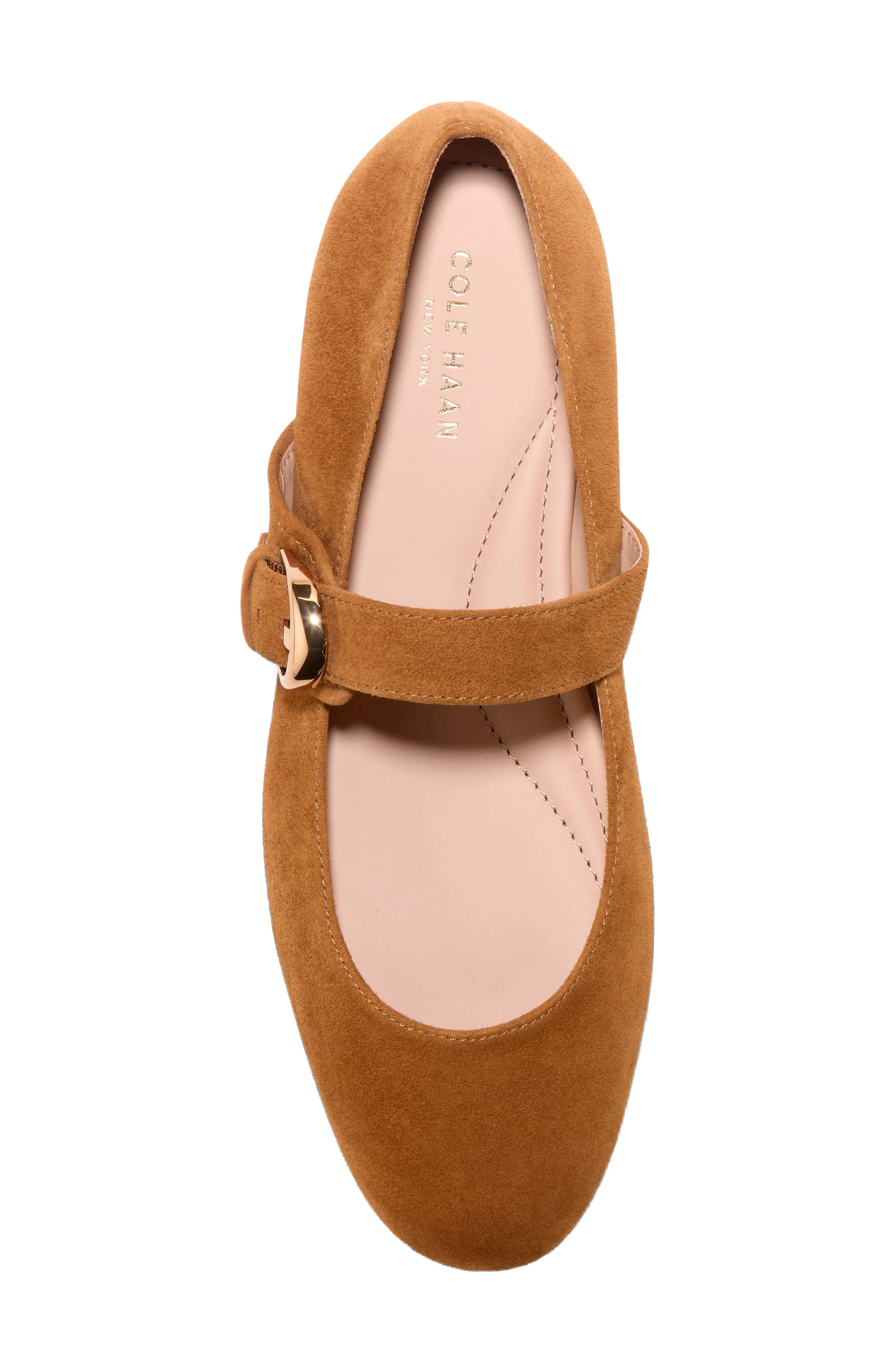 Grand Ambition Alissa Mary Jane Leather Flat, Alternate, color, TOBACCO SUEDE
