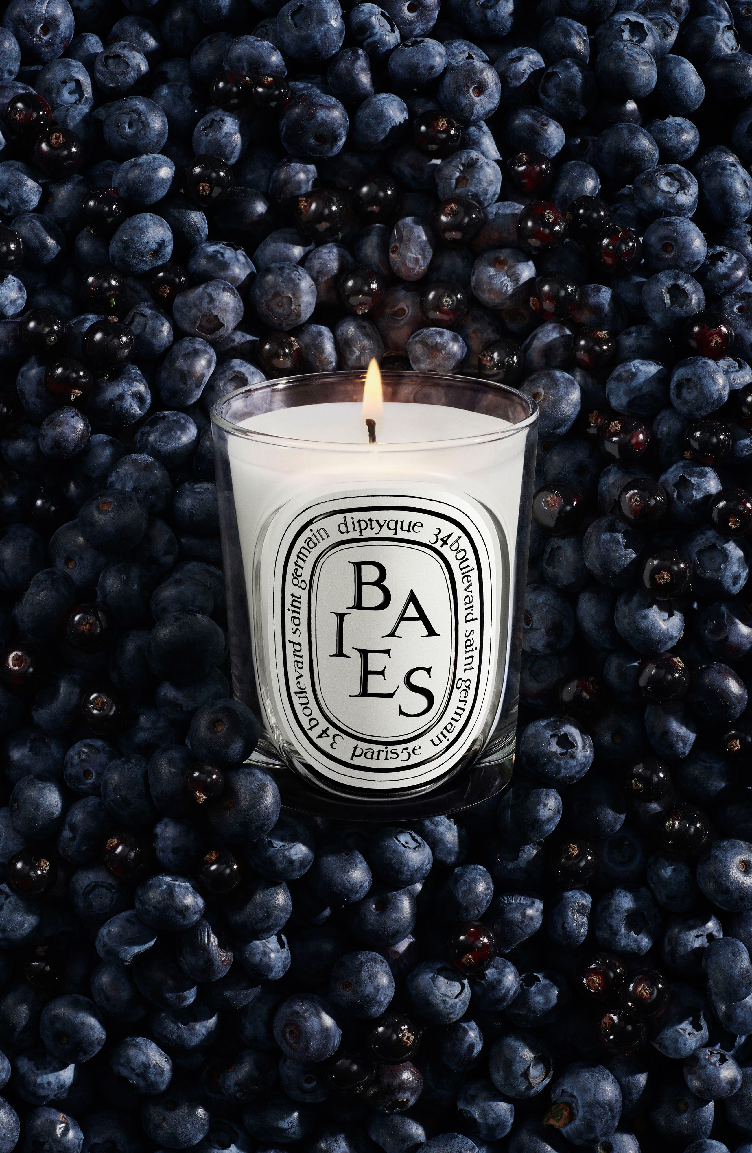 Diptyque Baies (Berries) Classic Candle | Nordstrom