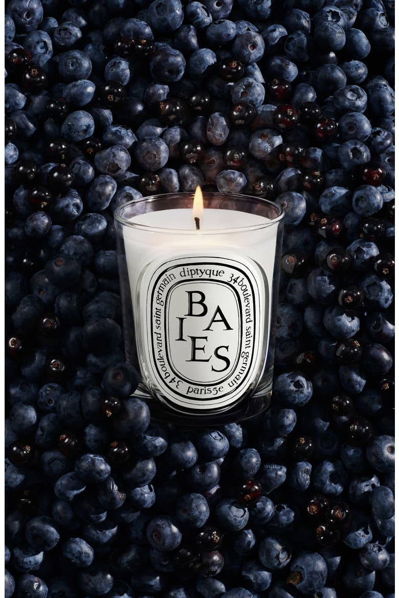 Baies (Berries) Classic Candle, Alternate, color, NO COLOR