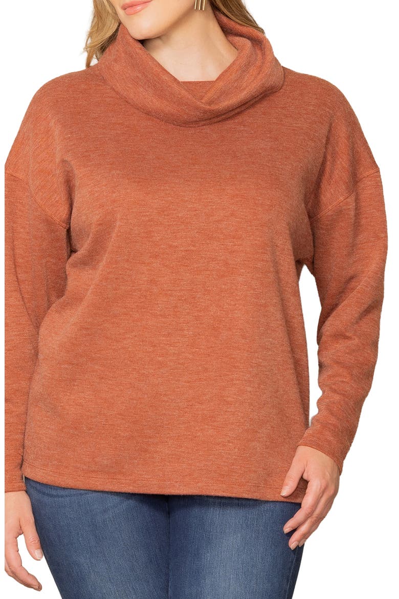 Astrid Turtleneck Sweater, Alternate, color, CINNAMON