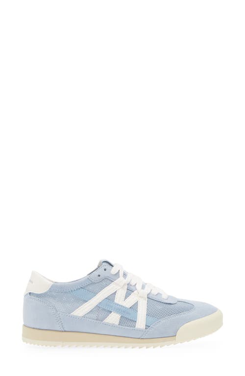 Shop Sam Edelman Irma Low Top Sneaker In Blue Breeze/sugar