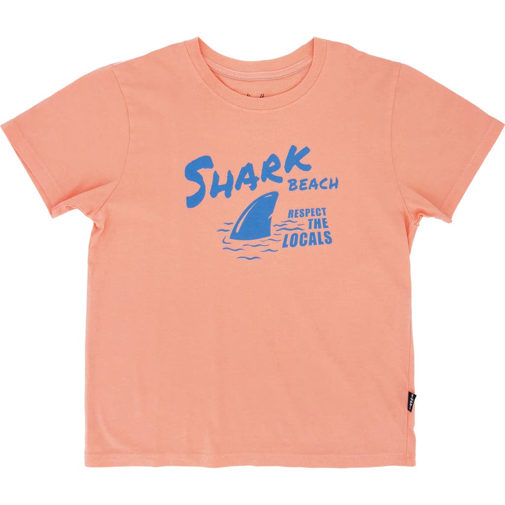 Feather 4 Arrow Shark Beach Vintage Graphic T-shirt In Orange