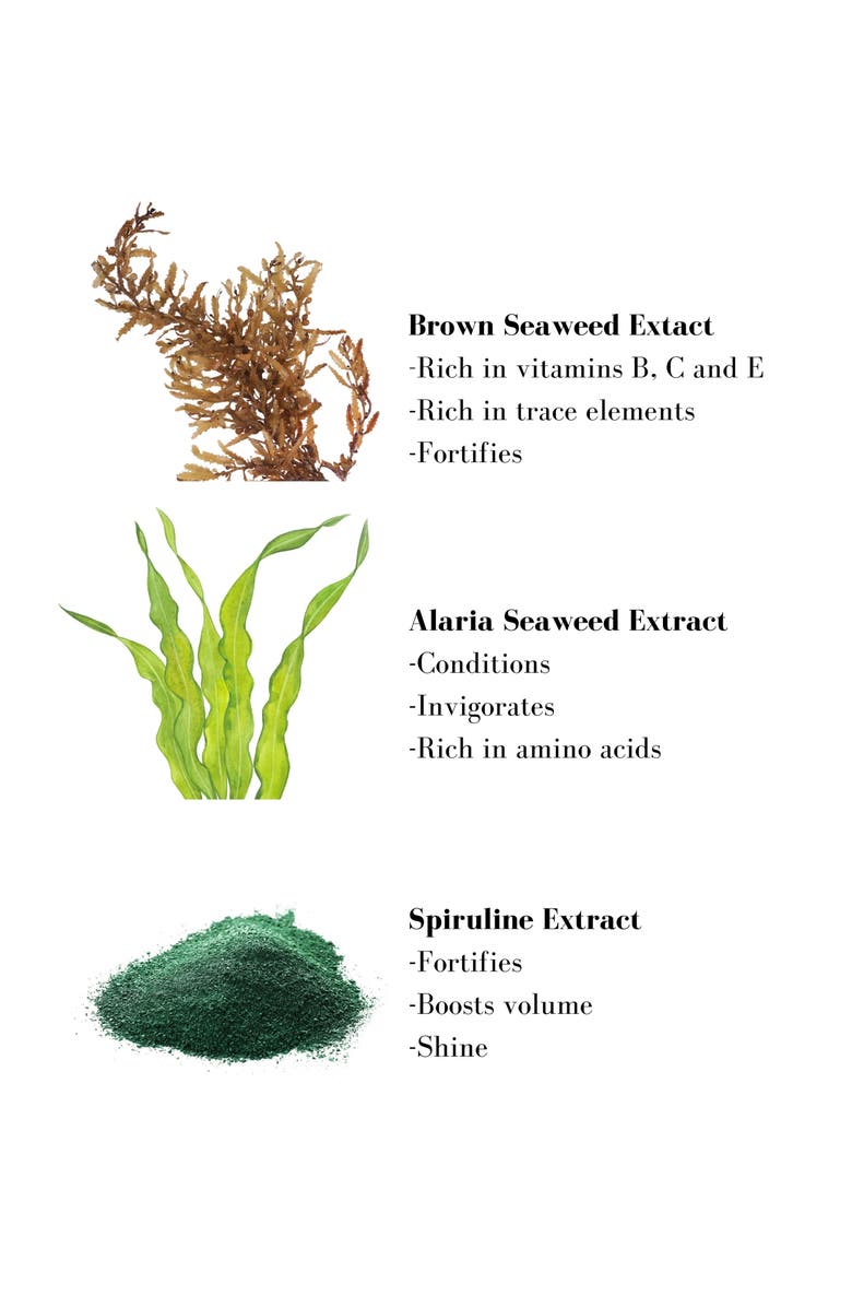 Leonor Greyl PARIS 'Volumizing Shampoo', Alternate, color, 