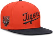 Nike Men's Nike Orange Detroit Tigers True Performance Fitted Hat