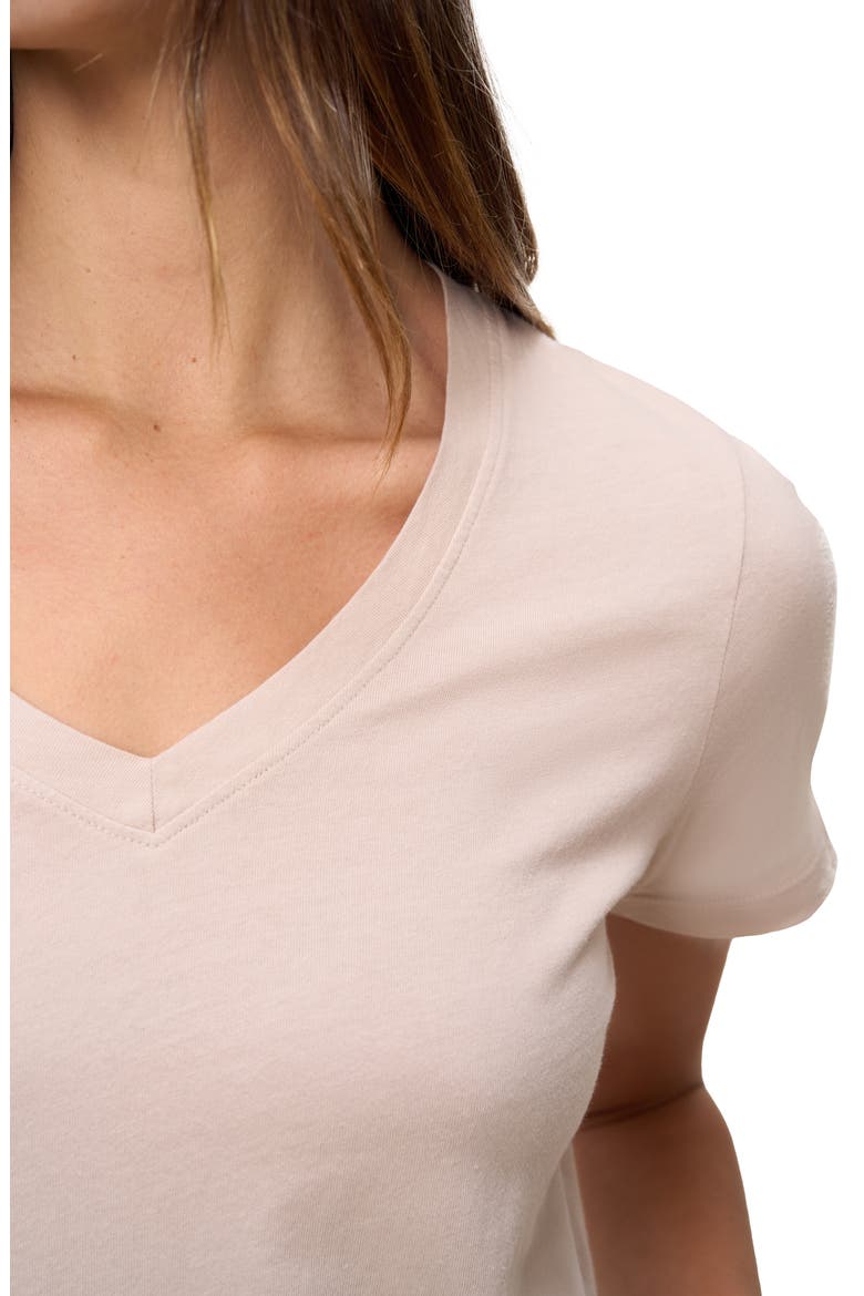 The Organic Cotton V-Neck Tee, Alternate, color, Oat