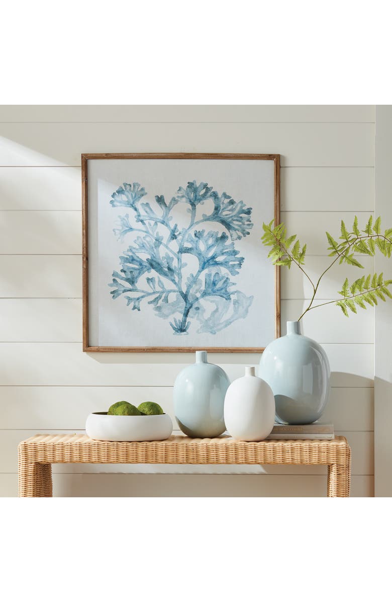 Napa Home & Garden Translucent Coral Print - Blue Framed Art - Coastal Decor, Alternate, color, 