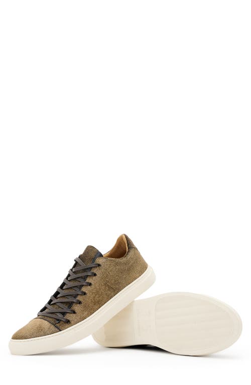 John Varvatos 315 Reed Genuine Calf Hair Low Top Sneaker In Gold