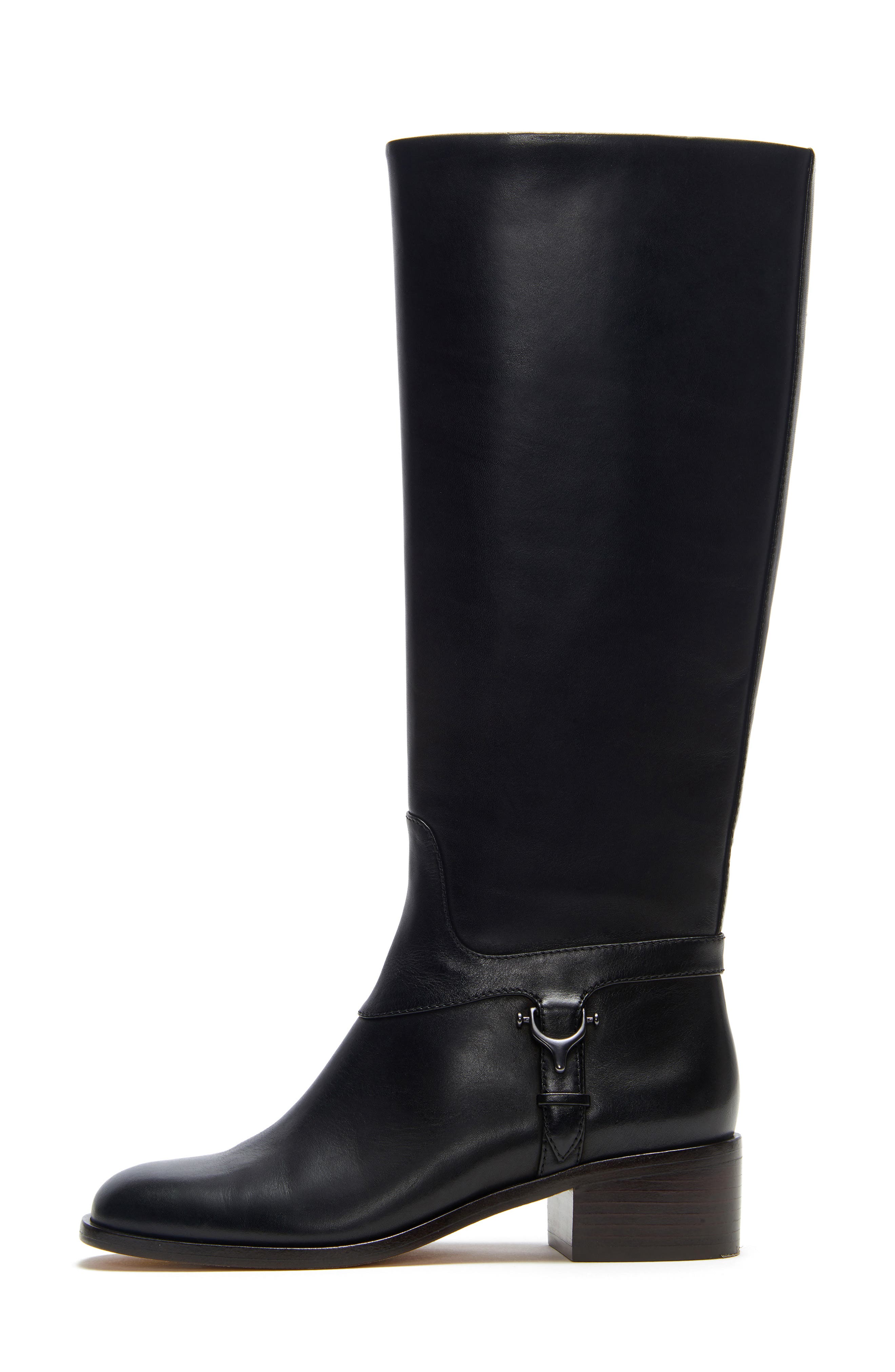 Etienne Aigner Ryker Boot, Alternate, color, 