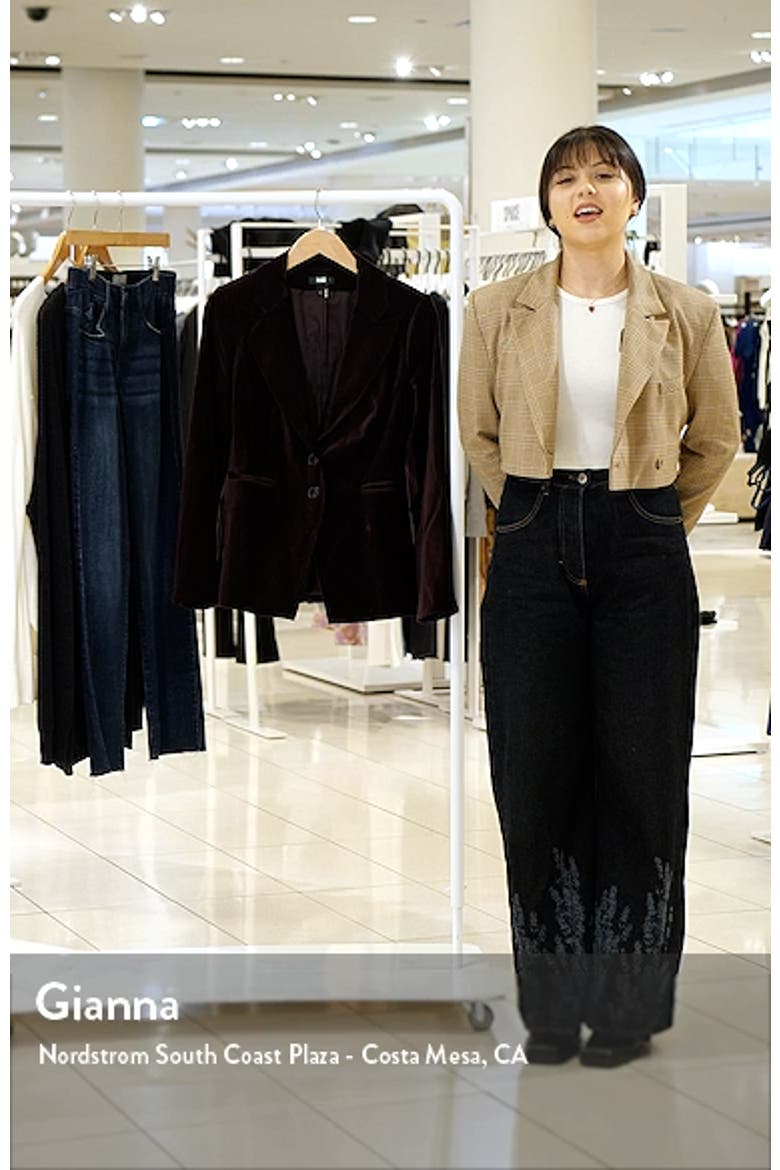 Chelsee Velvet Blazer video