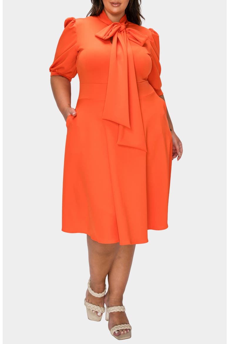 Carina Donna Fit & Flare Midi Dress, Alternate, color, ORANGE NEW