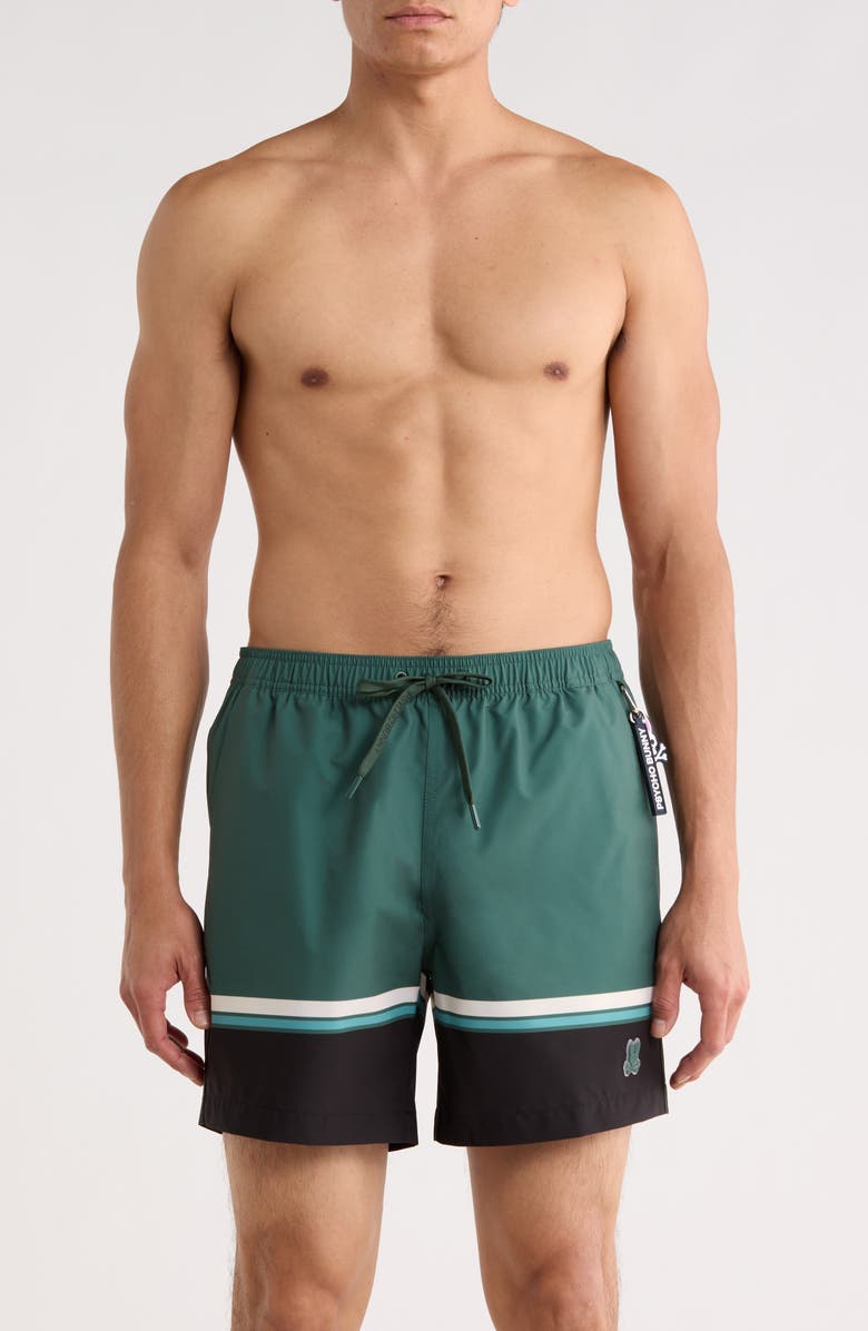 Psycho Bunny Hanks Colorblock Swim Trunks, Main, color, 