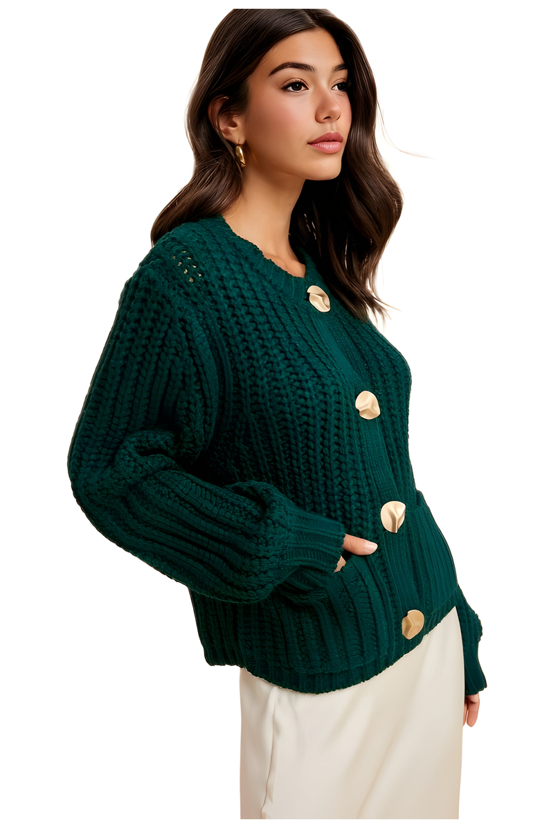 Knit and Lounge Chunky Knit Oversized Button Cardigan, Alternate, color, 