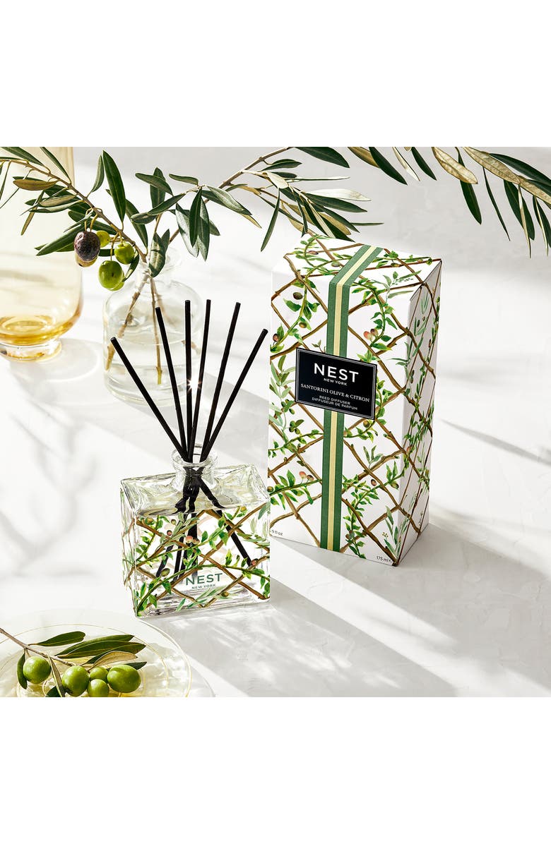 NEST New York Santorini Olive & Citron Specialty Reed Diffuser, Alternate, color,