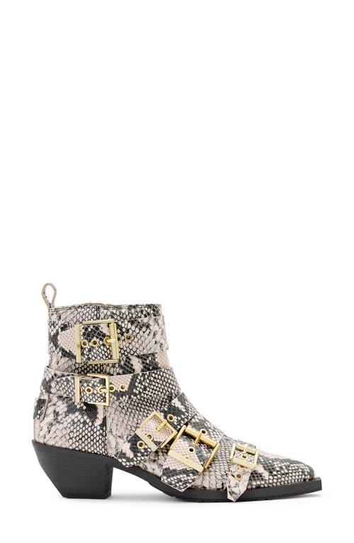 Allsaints Jane Buckle Pointed Toe Boot In Flow Ecru White