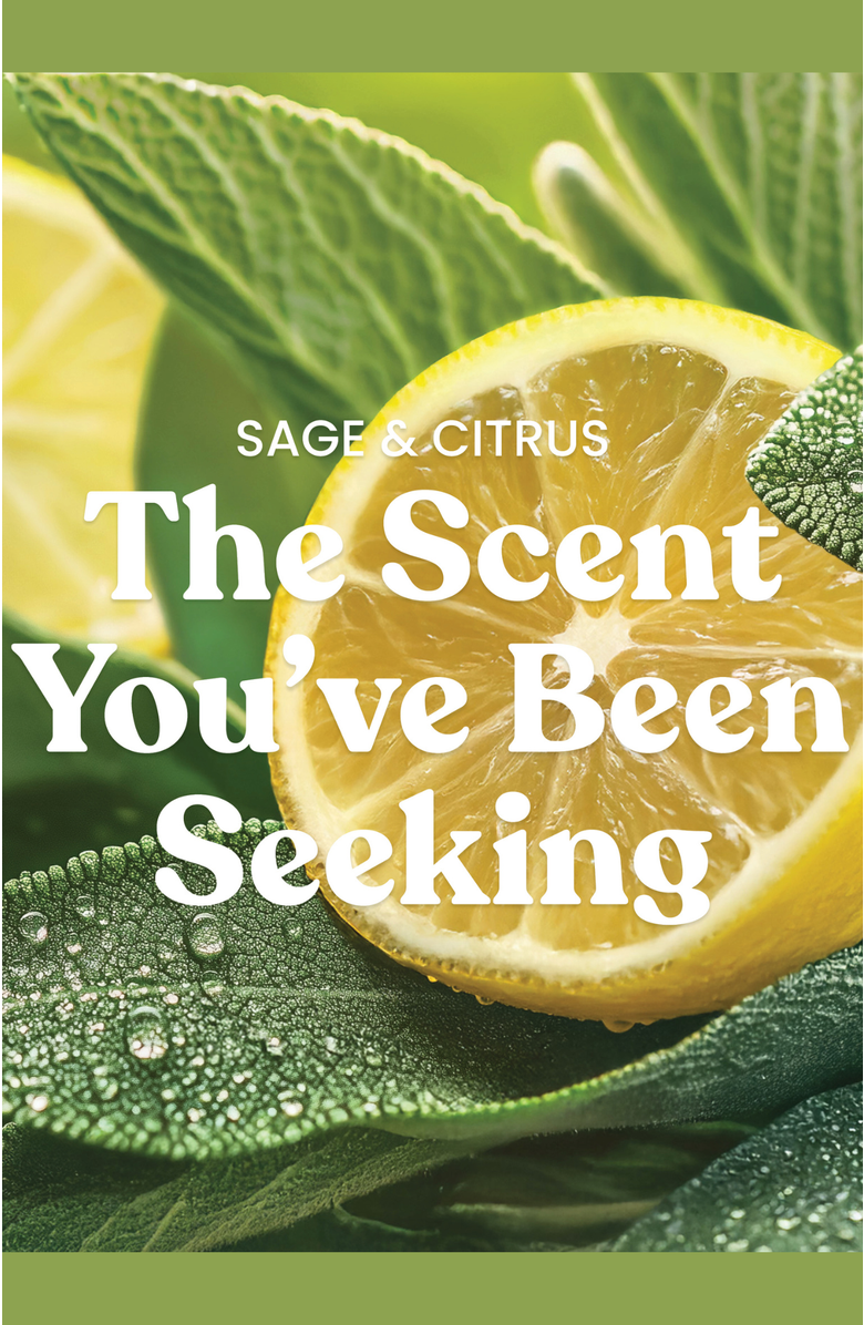 YANKEE CANDLE Sage & Citrus Studio Candle with Essential Oils, Set of 2, Alternate, color, Green