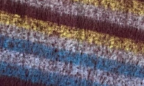 Marcus Adler Stripe Woven Fringe Scarf In Burgundy