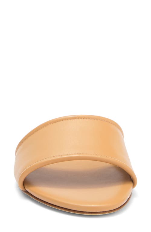 Aeyde Sumi Slide Sandal In Chai