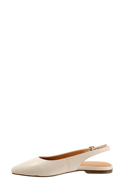 Trotters Evelyn Pointed Toe Slingback Flat In Ivory