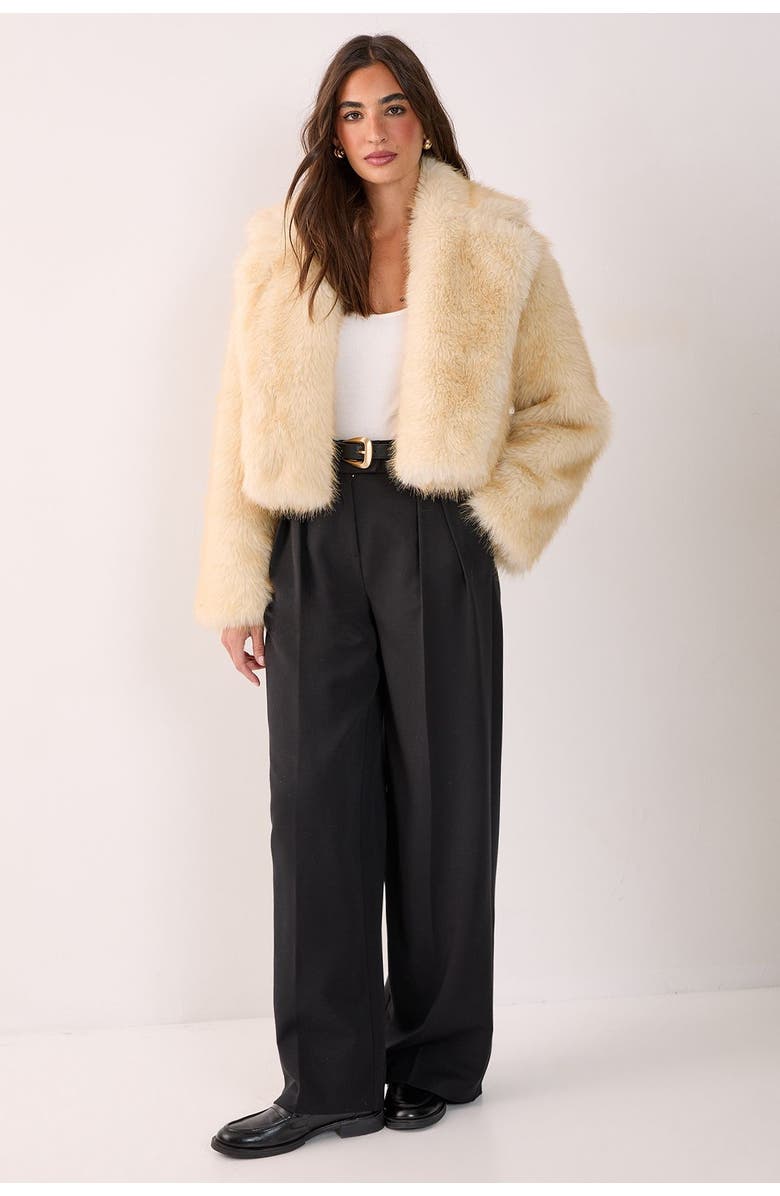 NASTY GAL Tipped Faux Fur Crop Jacket, Alternate, color, Lemon