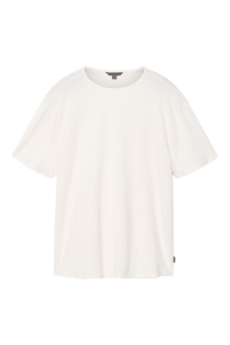 Mooney Textured Organic Cotton T-Shirt, Alternate, color, SALT
