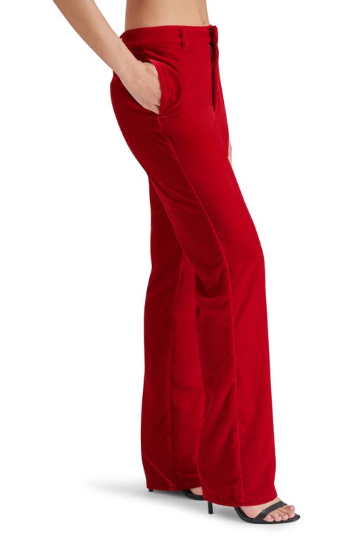 Shop Steve Madden Mercer Velvet Straight Leg Pants