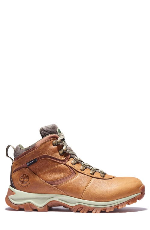 Timberland Mt. Maddsen Waterproof Hiking Boot In Light Brown