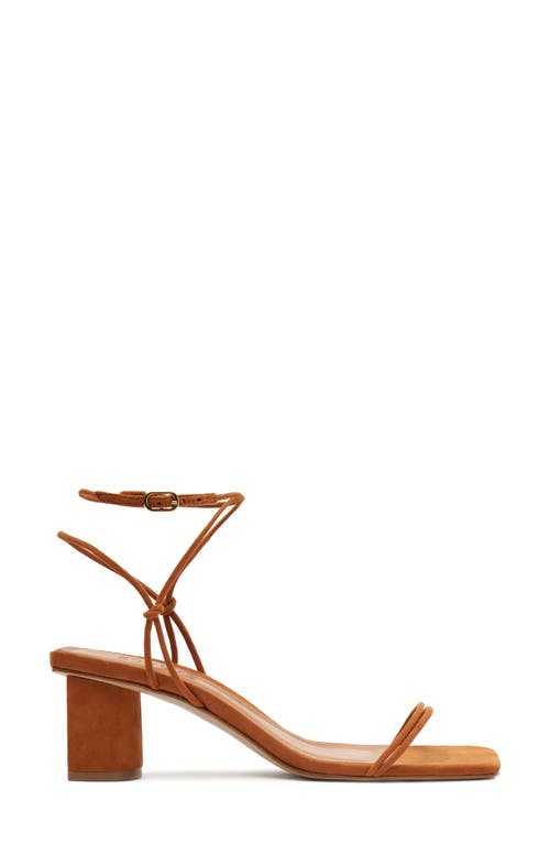 Schutz Pompeii Strappy Suede Block-heel Sandals In Cuoio Brown