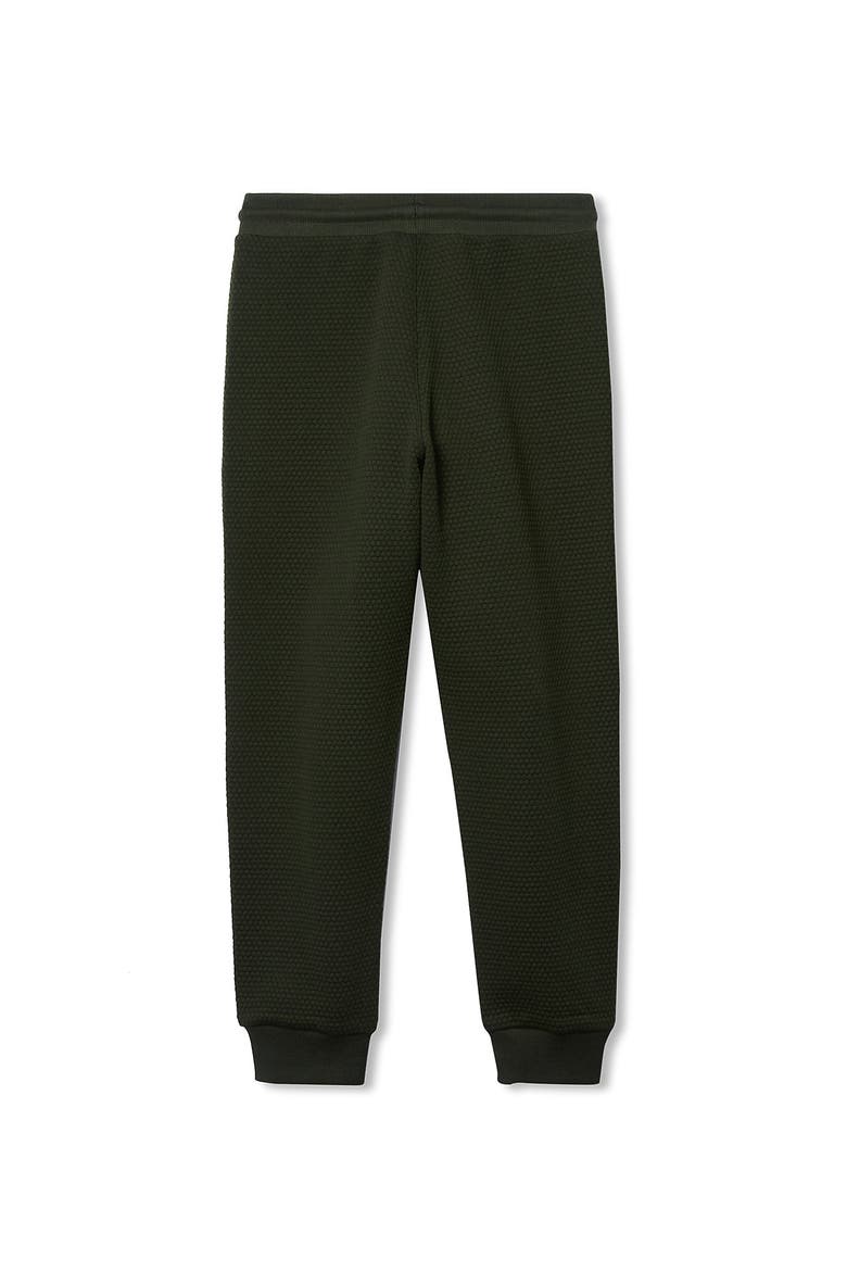 Boys Iron Knee Texture Knit Jogger, Alternate, color, Midnight Olive