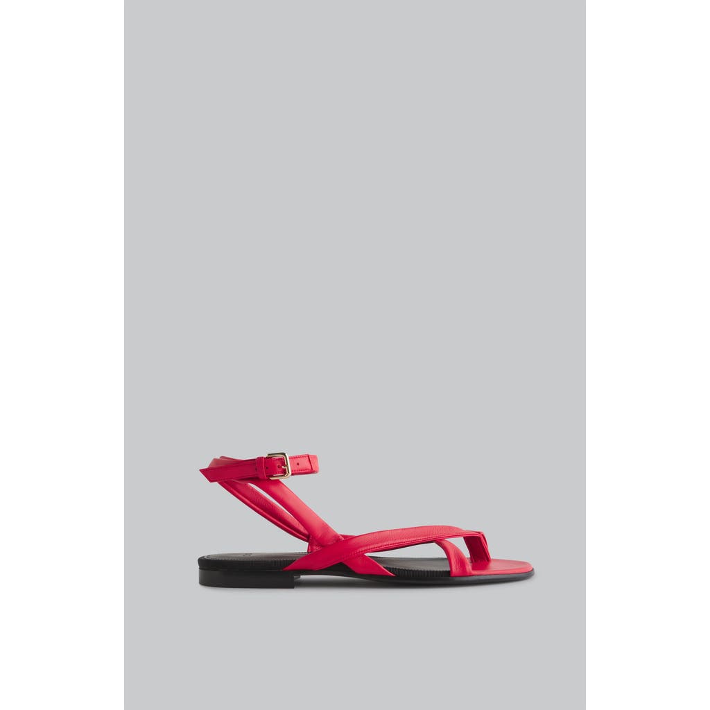 Co Asymmetric Toe Ring Gladiator Sandal