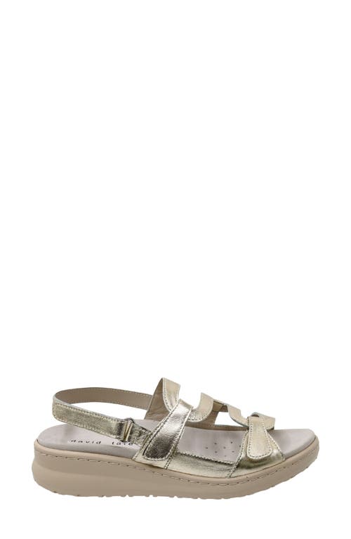 David Tate Femme Wedge Sandal In Platinum