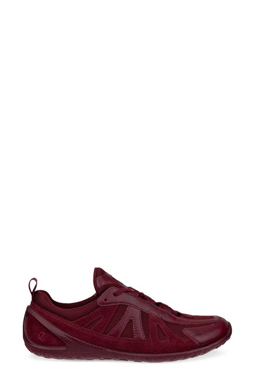 Ecco Biom Lite Sneaker In Animal Print