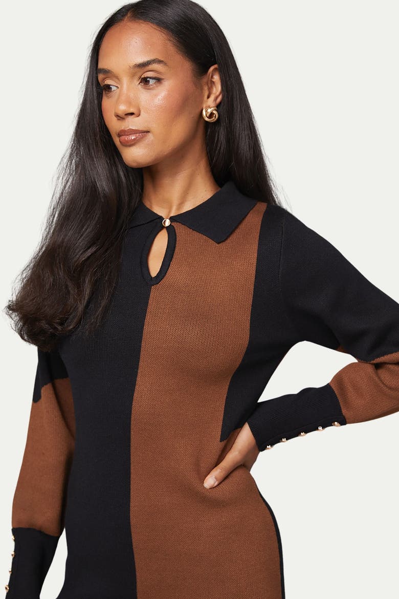 Colour Block Collared Knitted Dress, Alternate, color, Black
