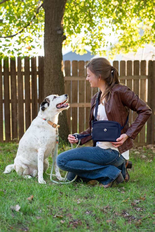 Puppington 3-in-1 Dog Walking Bag With Poop Bags In Navy Blue