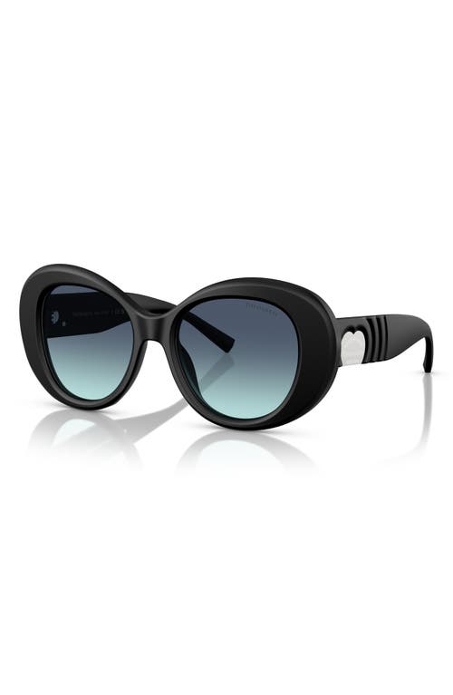 Tiffany & Co . 52mm Gradient Round Sunglasses In Black