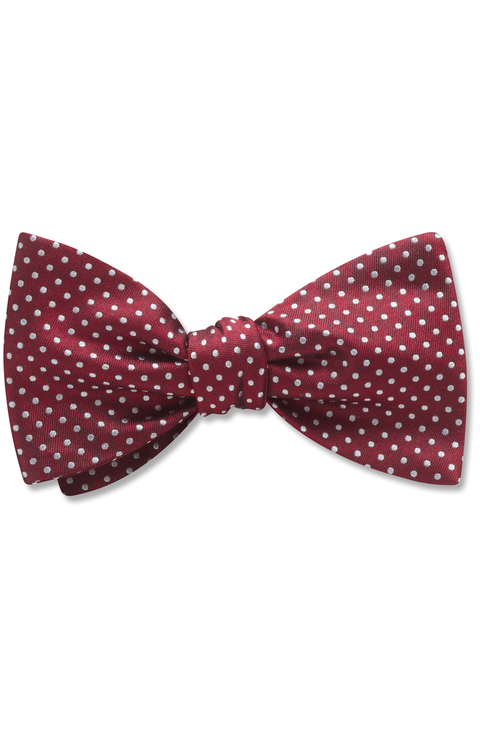 Oriel Bow Tie