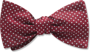 Beau Ties of Vermont Oriel Bow Tie