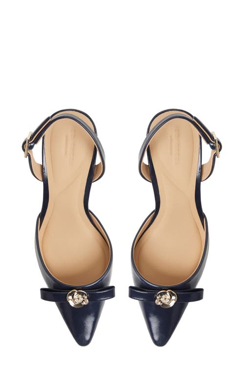 Ted Baker Sienna Slingback Pointed Toe Pump In Blue