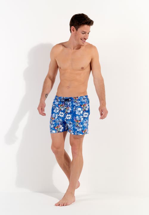 Hom Colibris Beach Boxer In Blue Print
