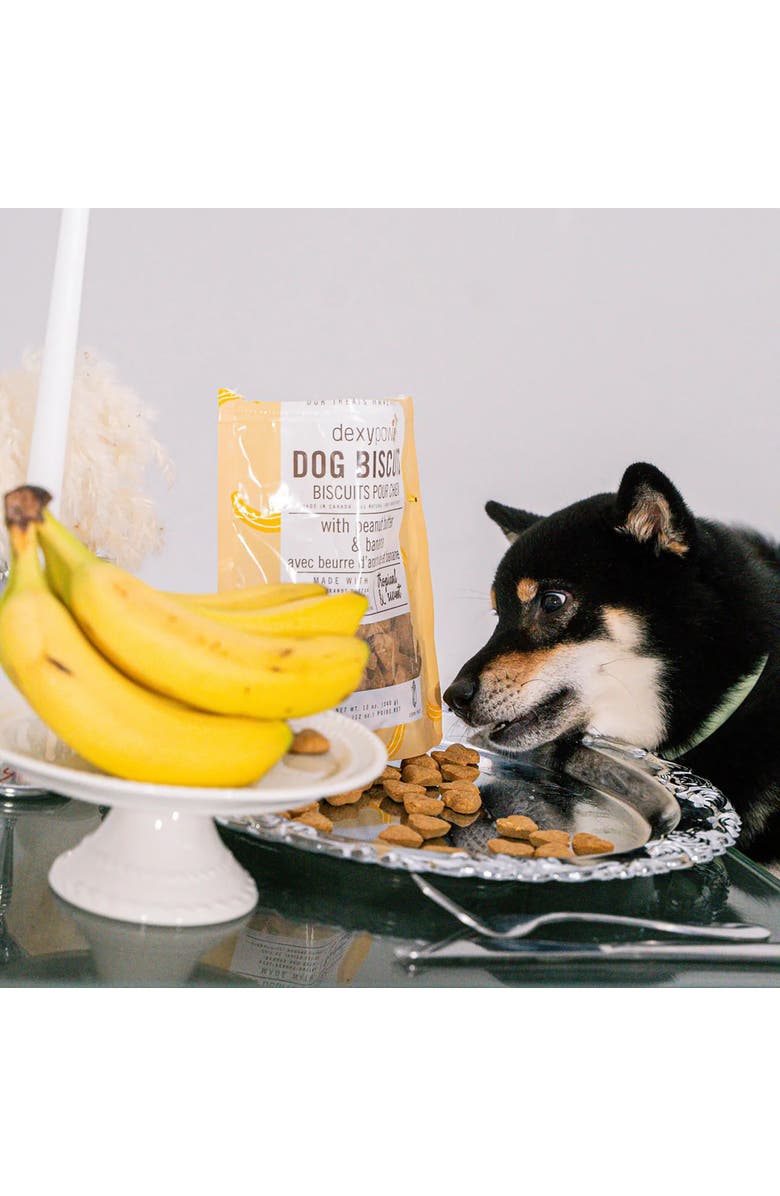 Dexypaws Banana, Oat & Peanut Butter Dog Biscuits 12oz, Alternate, color, Brown